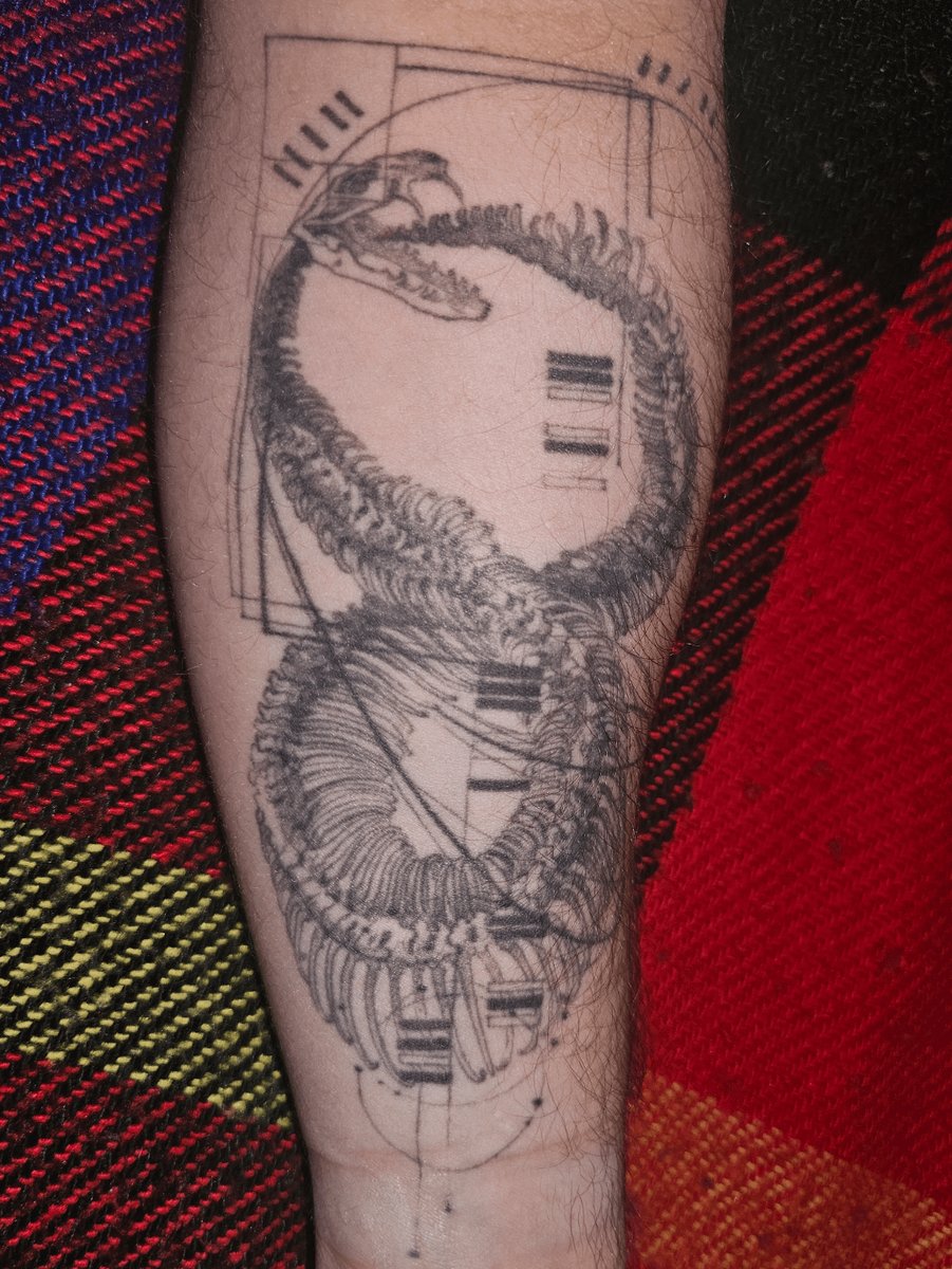 Photo of the tattoo titled From Vision to Reality: A Tattoo's Journey