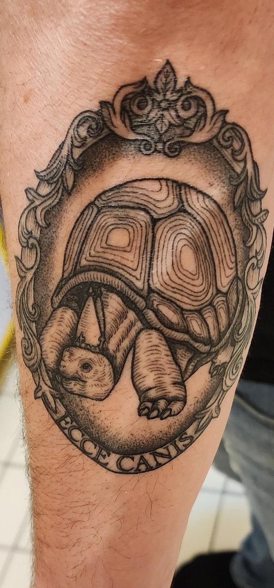 Photo of the tattoo titled Expectation vs. Reality Tattoo
