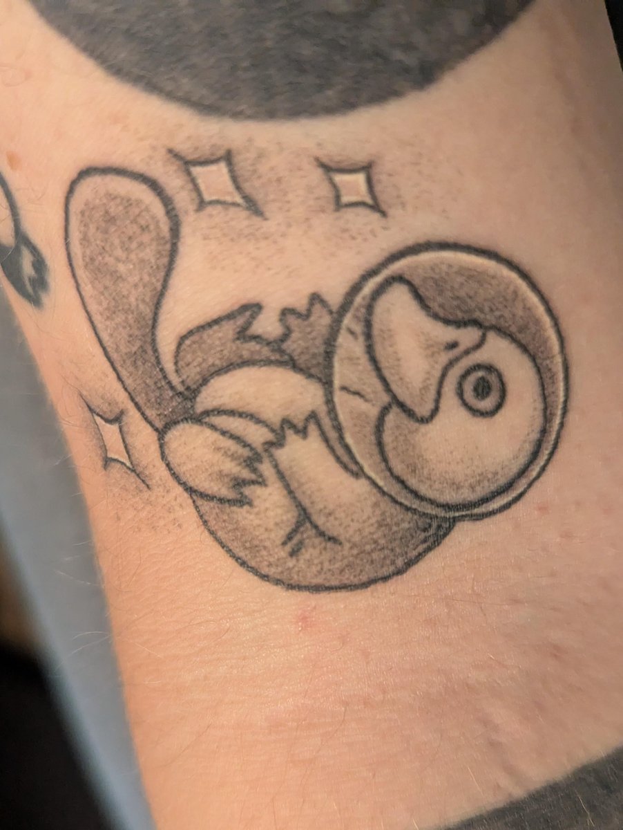 Photo of the tattoo titled Space Platypus - A Celestial Companion