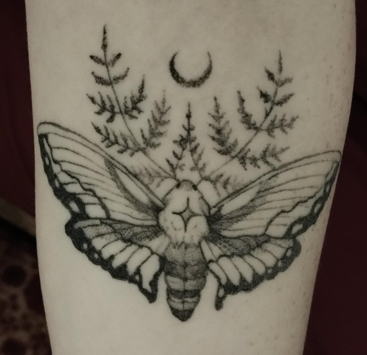 Photo of the tattoo titled My First Moth Tattoo