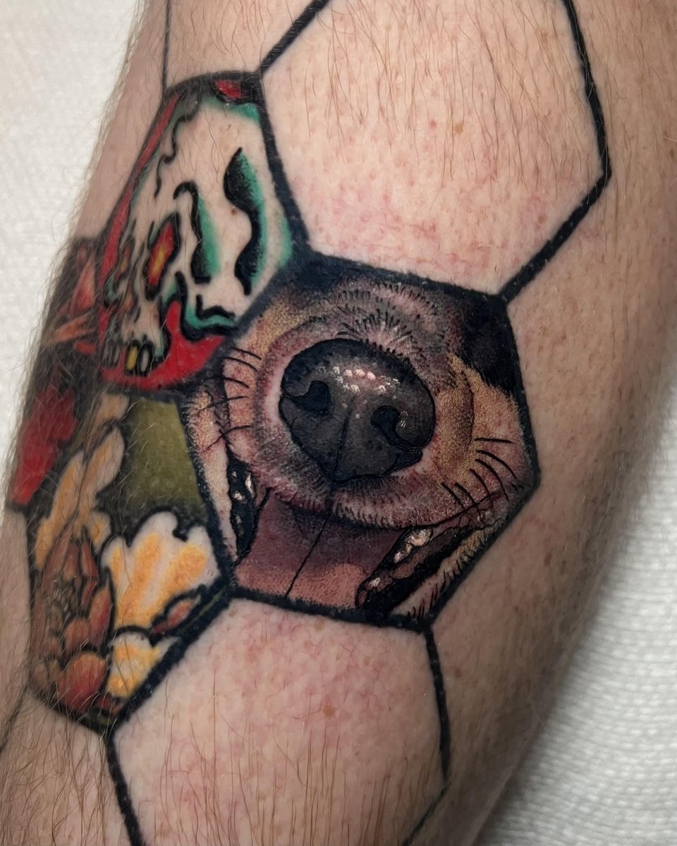 Photo of the tattoo titled Dog's Nose in Hexagon