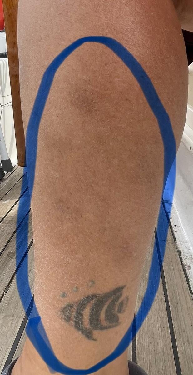 Photo of the tattoo titled Cover up transformation at Graceful Eye
