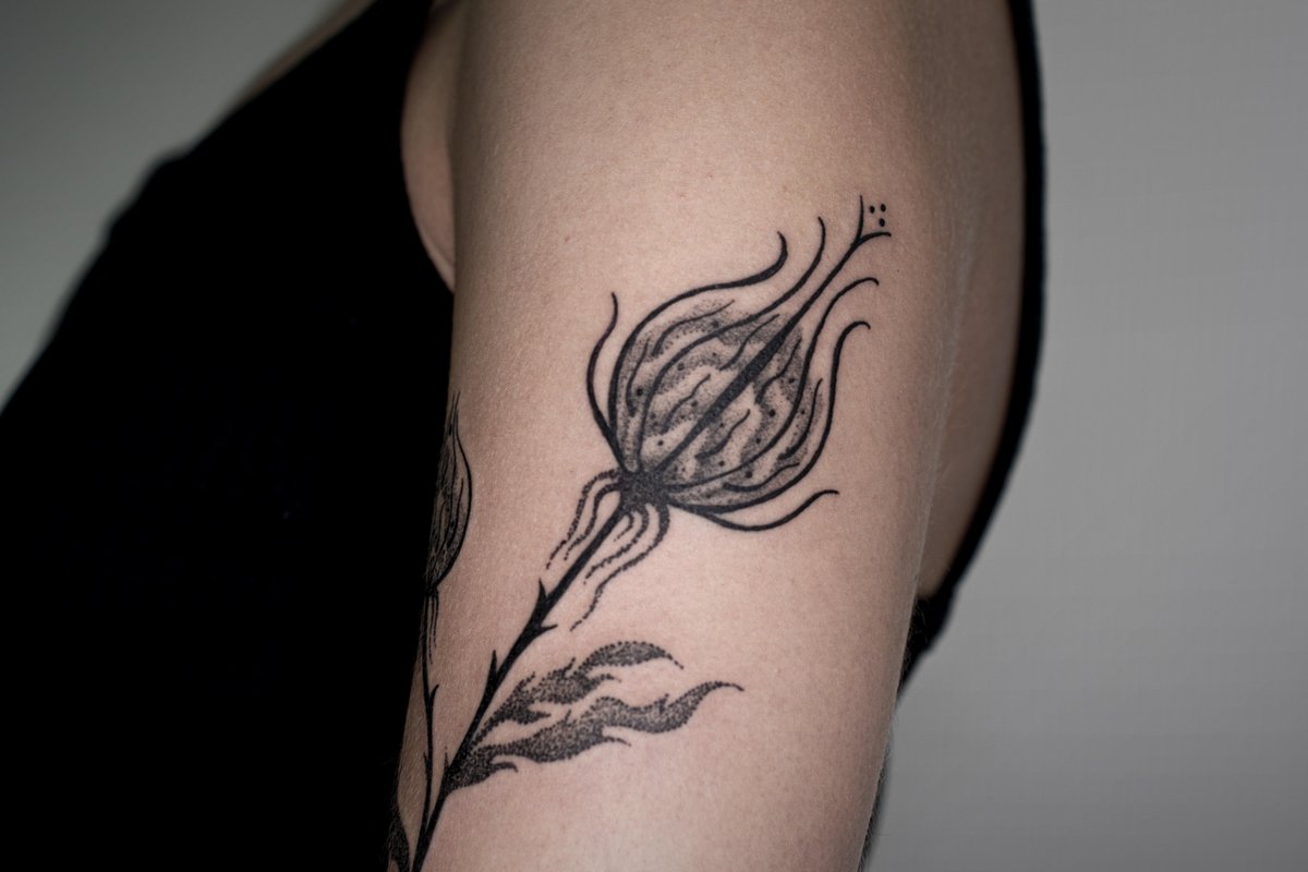 Photo of the tattoo titled A Couple of Tattoos
