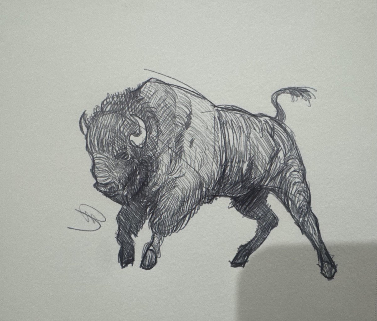 Photo of the tattoo titled First Bison Tattoo Design