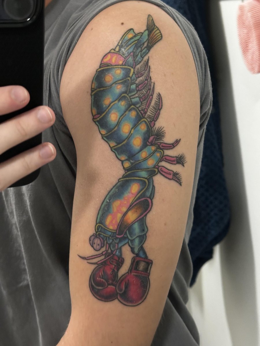 Photo of the tattoo titled Transformation of a new tattoo
