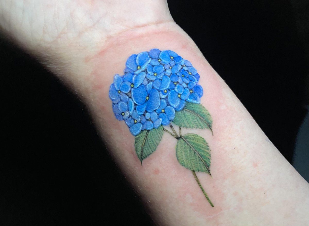 Photo of the tattoo titled Hydrangea Love Bloom
