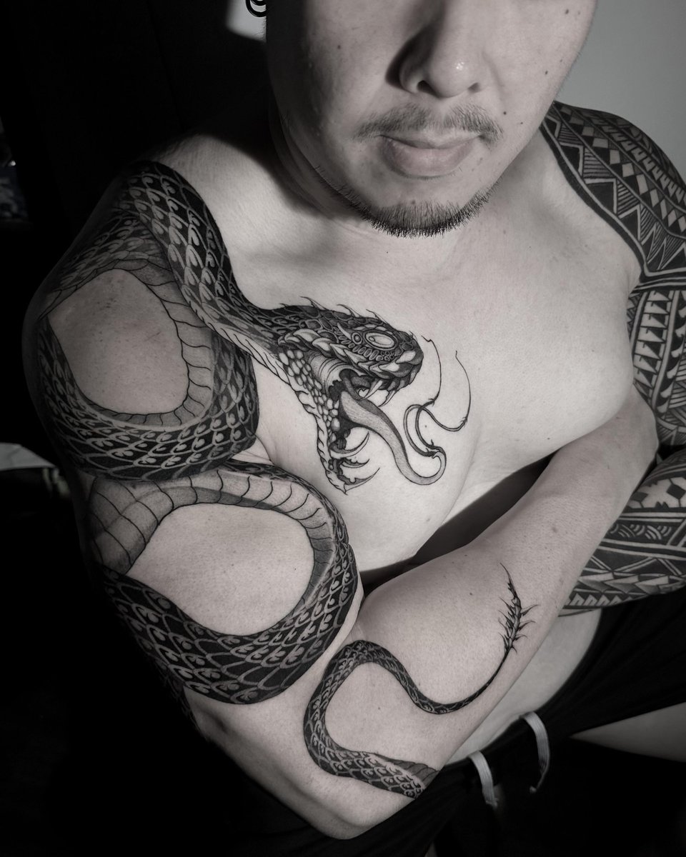 Photo of the tattoo titled Flowing Snake Arm Sleeve