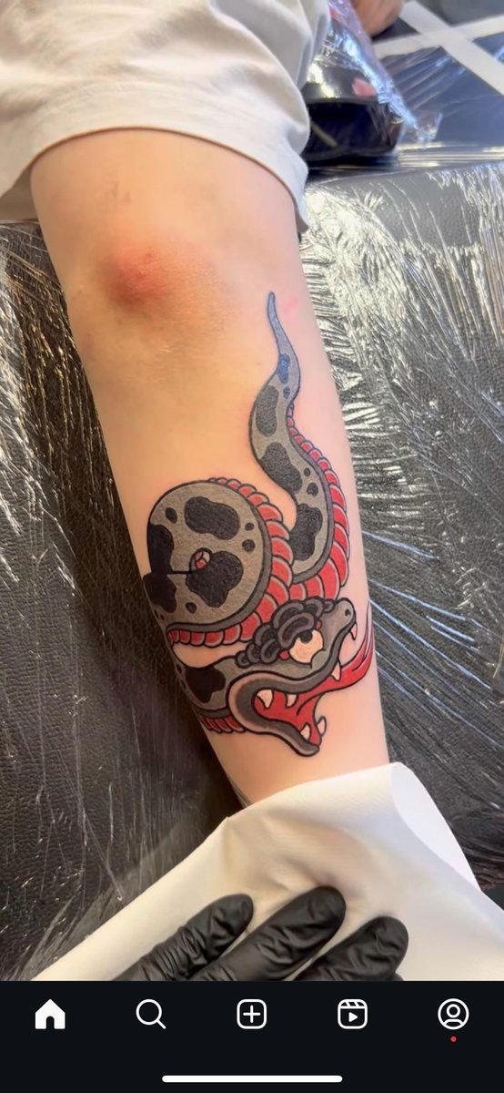 Photo of the tattoo titled Vibrant Snake Forearm Piece