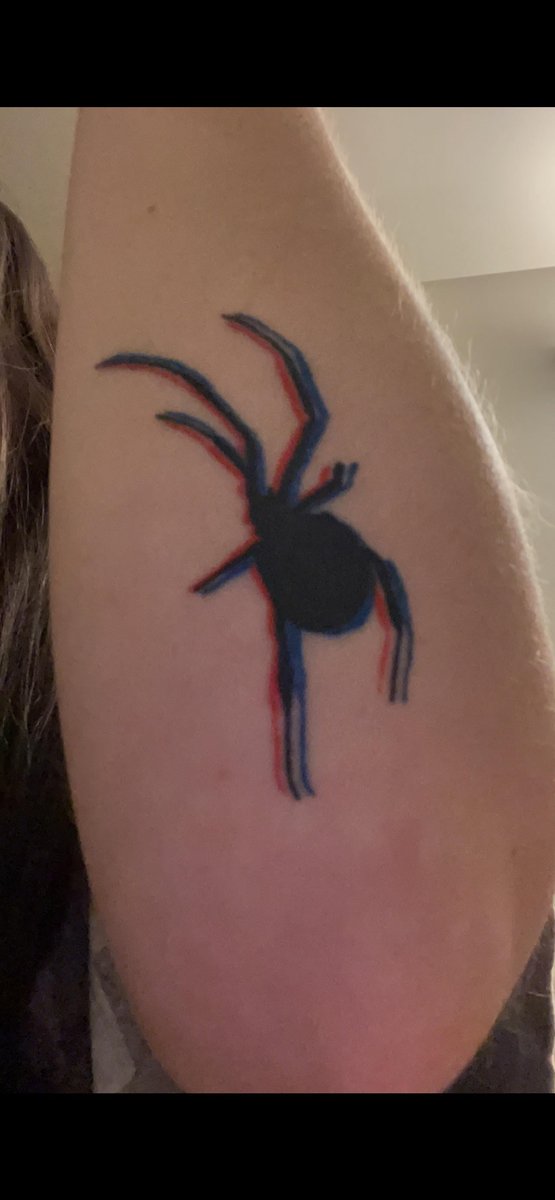 Photo of the tattoo titled My Favorite 3D Spider Ink