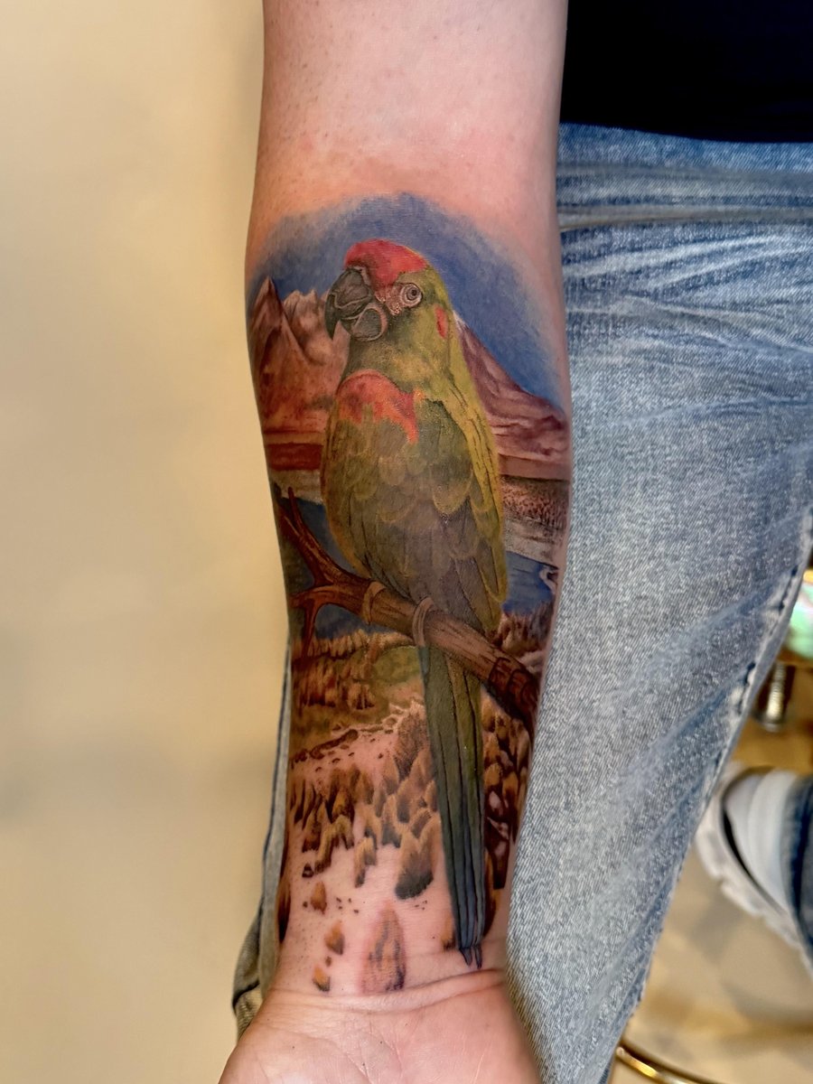 Photo of the tattoo titled First Sleeve: A Bolivian Dream