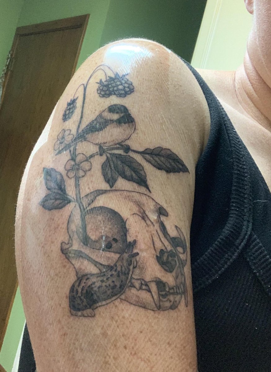 Photo of the tattoo titled Vintage Biology Diagram Tattoo