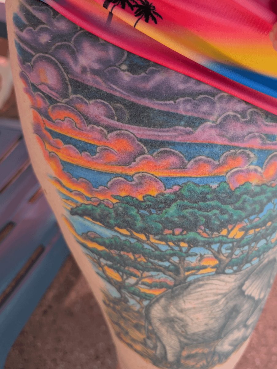 Photo of the tattoo titled Five Years of Healed Color