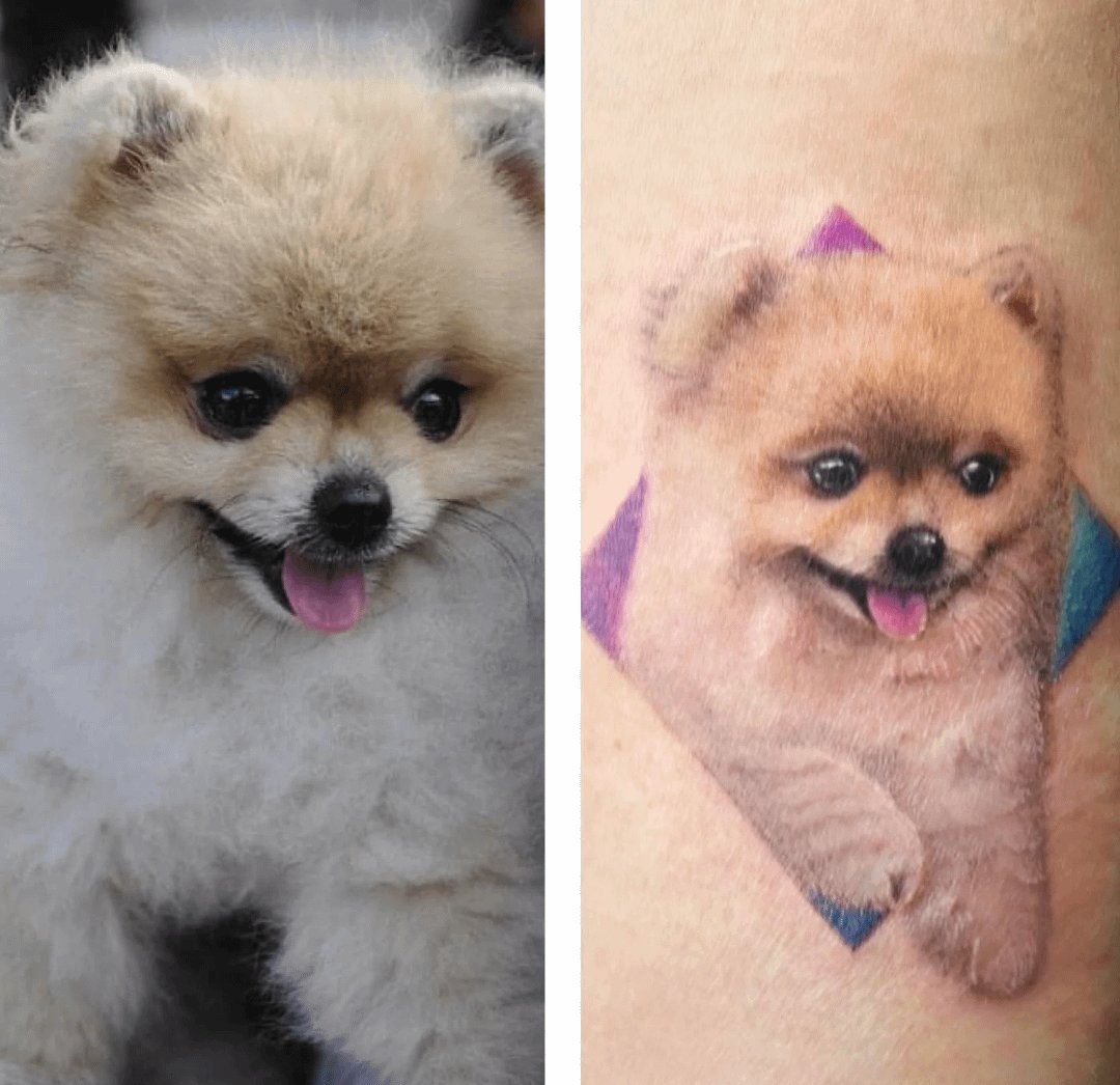 Photo of the tattoo titled Memorial Tattoo for Pudding