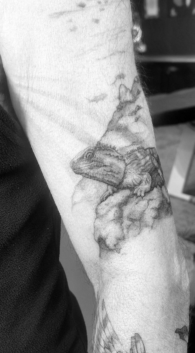 Photo of the tattoo titled Fineline Tuatara Portrait