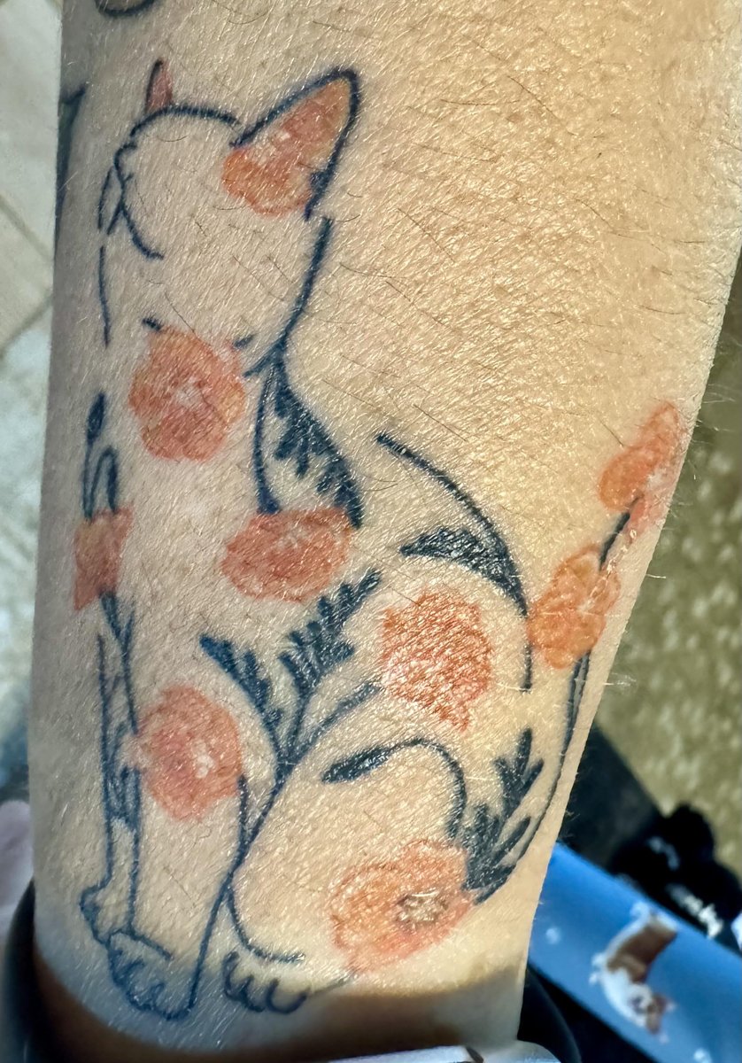 Photo of the tattoo titled My Cat and California Poppies