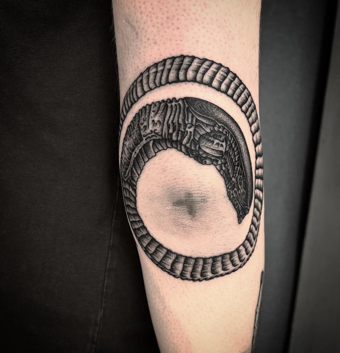 Photo of the tattoo titled Xenomorph Fetus Elbow Tattoo