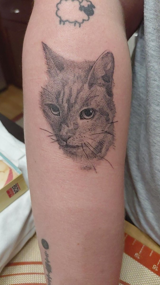 Photo of the tattoo titled Angel Kitty Tribute
