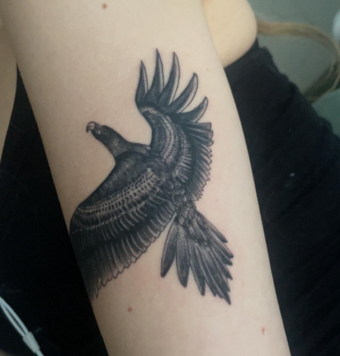 Photo of the tattoo titled Tribute to Parents, Eagle and Beyond