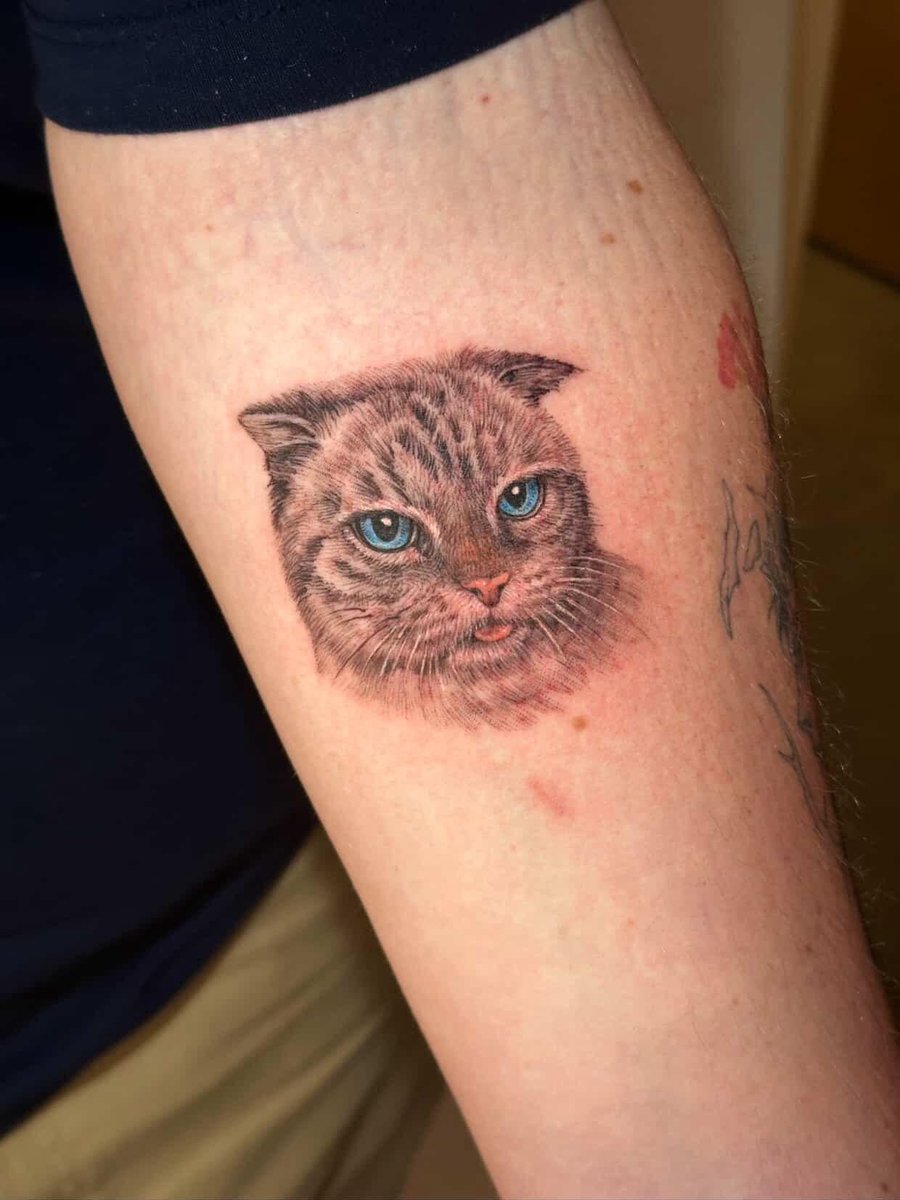 Photo of the tattoo titled Portrait of my beloved kitty