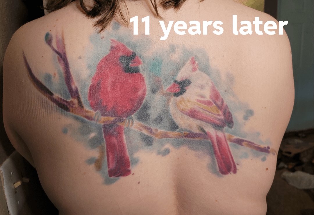 Photo of the tattoo titled Watercolor Cardinal Then and Now