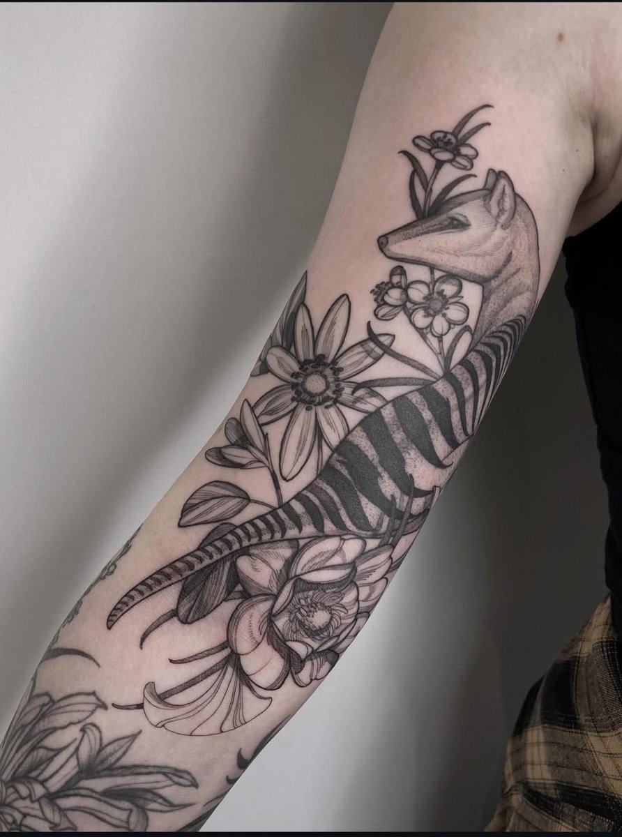 Photo of the tattoo titled Tribute to the Thylacine