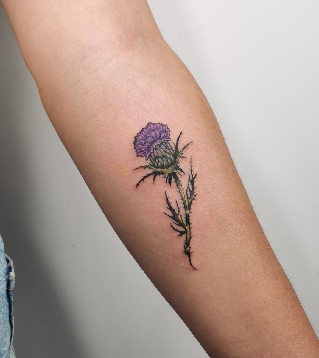 Photo of the tattoo titled Mini Milk Thistle Tattoo