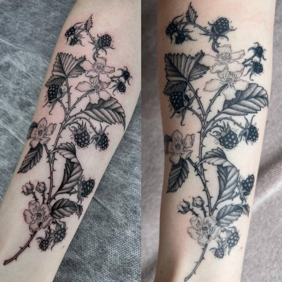 Photo of the tattoo titled Blackberry Bramble: Fresh vs. Healed