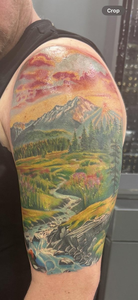 Photo of the tattoo titled First Full Color Masterpiece