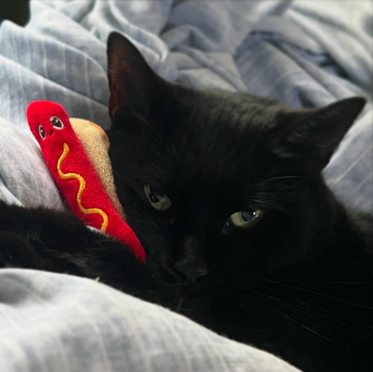 Photo of the tattoo titled Memorial Hotdog Heart for Best Friend