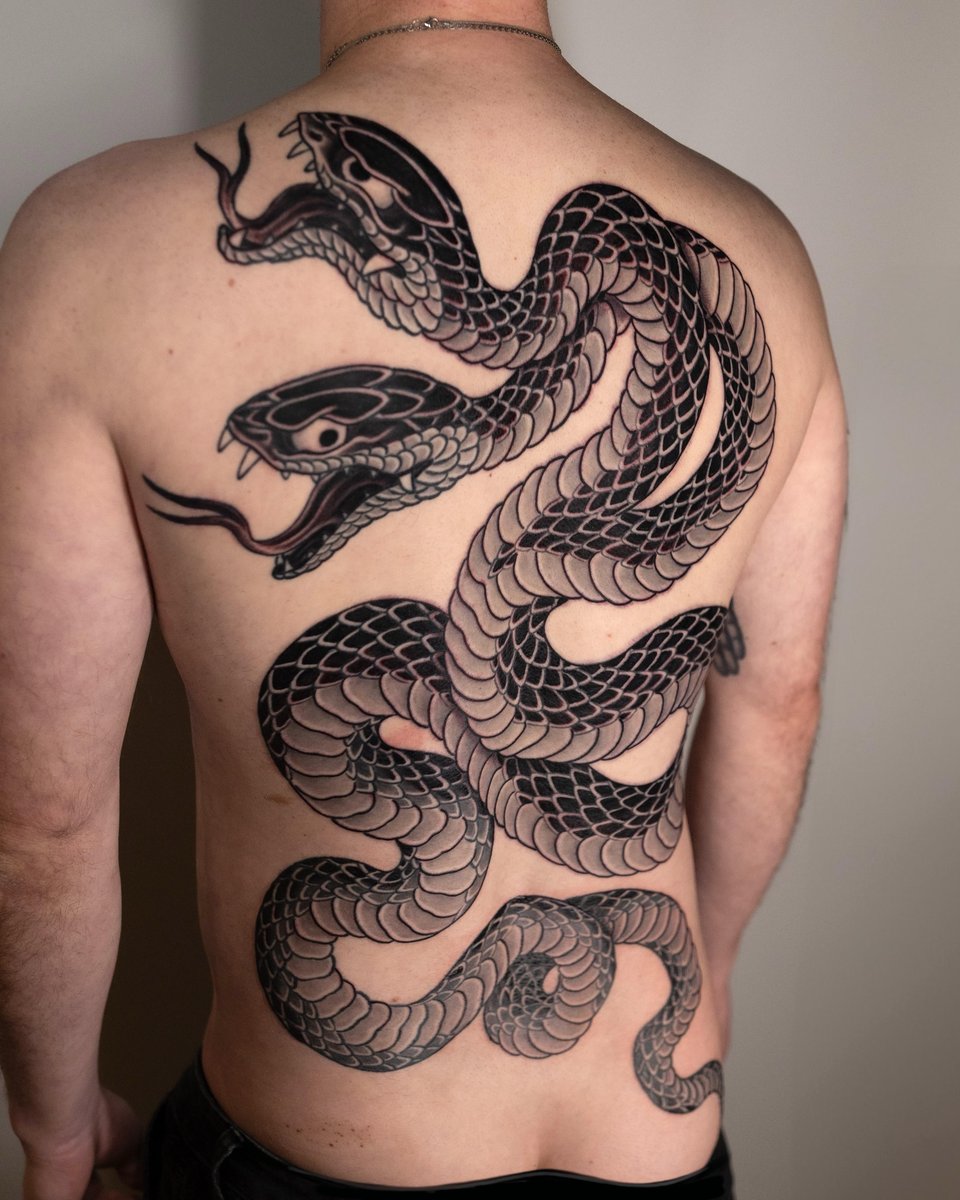 Photo of the tattoo titled Healed and Fresh Double Headed Snake