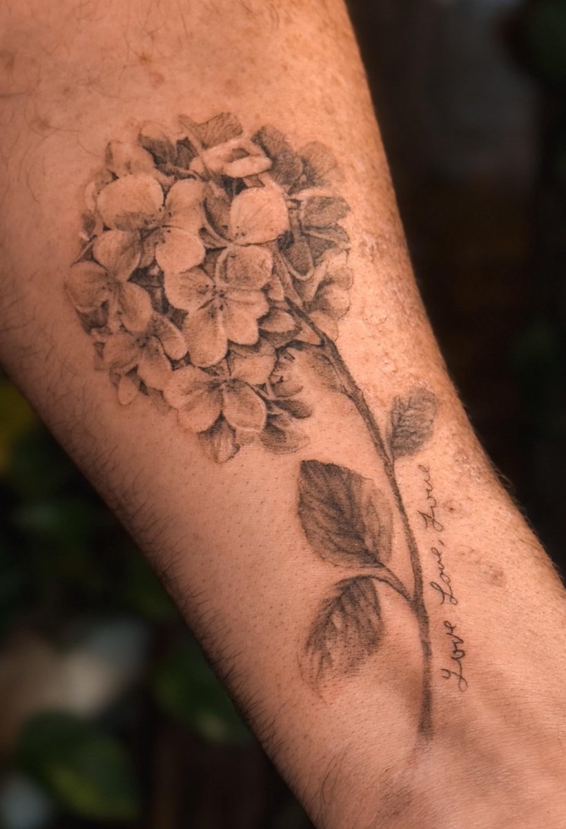 Photo of the tattoo titled Delicate Micro-realism Hydrangea Bloom