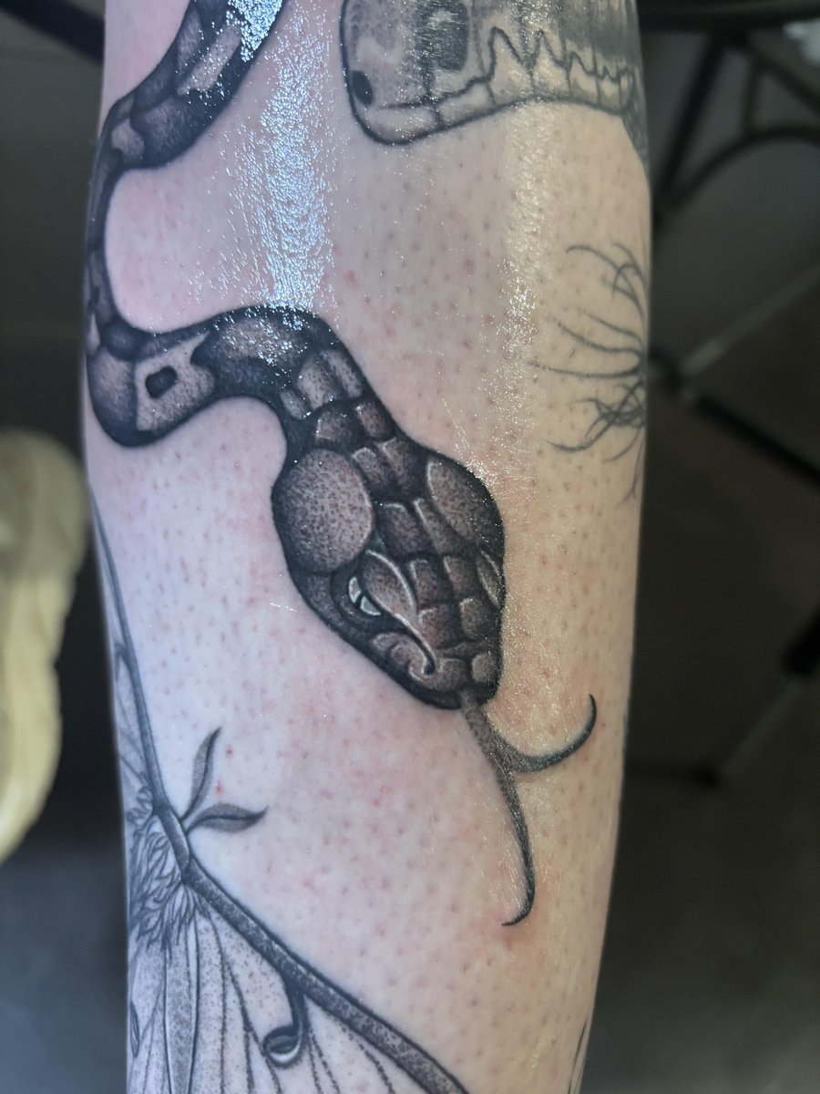 Photo of the tattoo titled Copperhead Completes Leg Sleeve