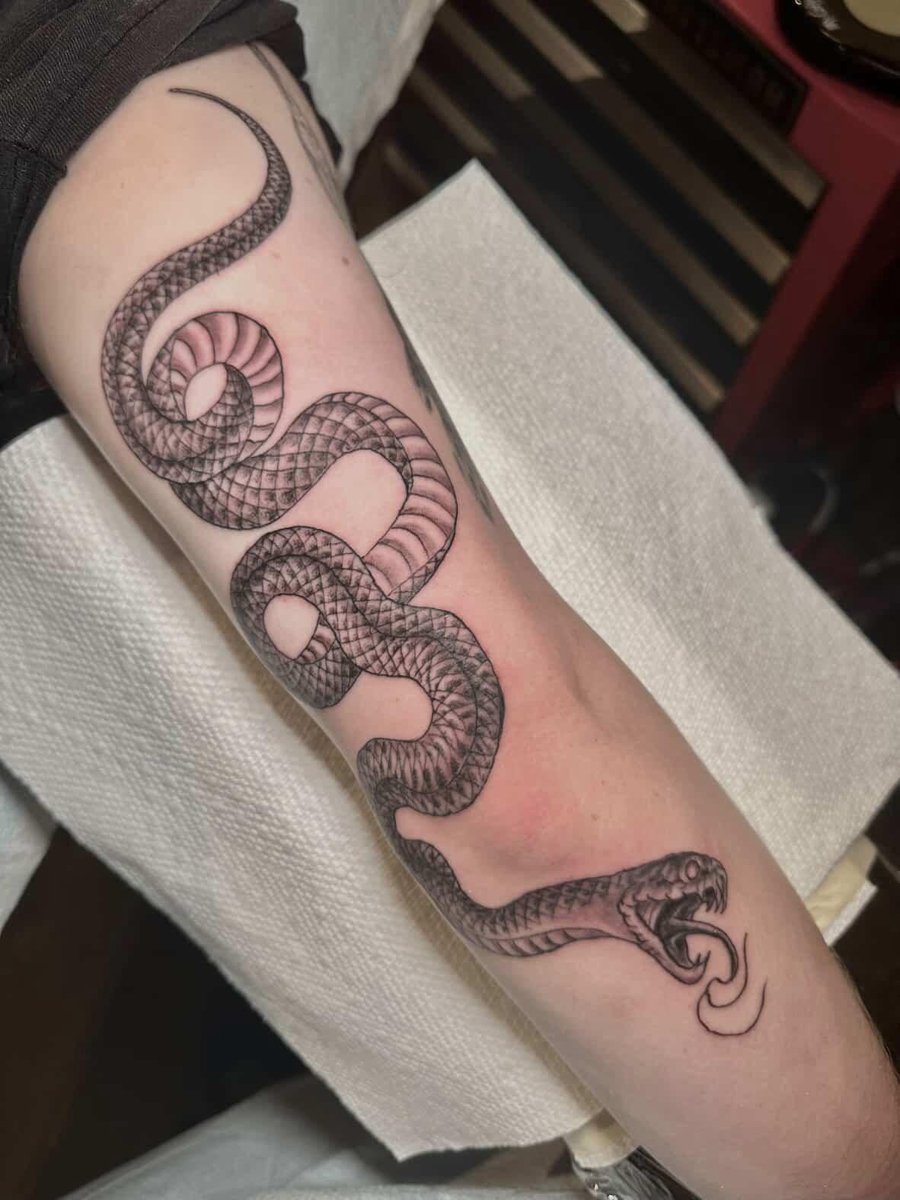 Photo of the tattoo titled Elbow Snake Tattoo