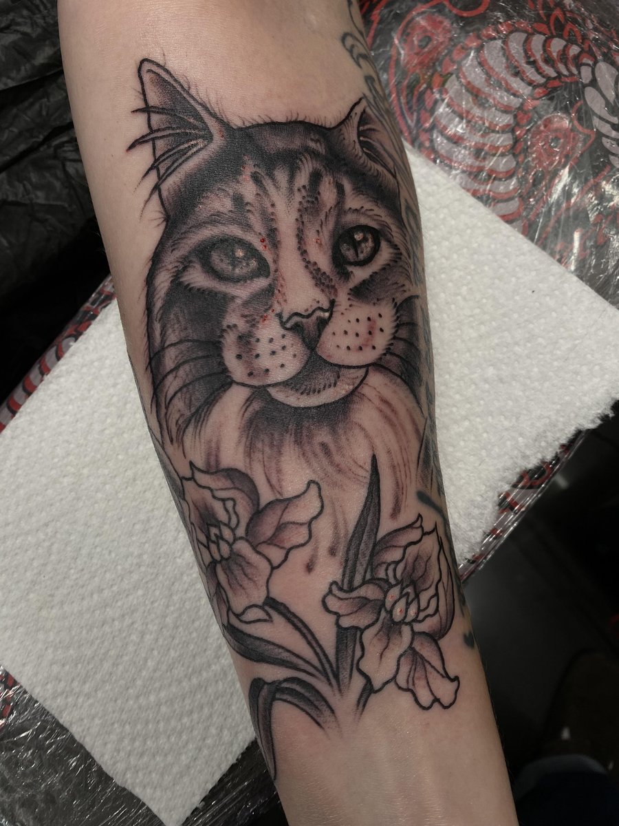 Photo of the tattoo titled Tribute to my beloved cat Iris