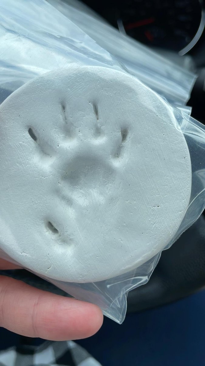 Photo of the tattoo titled Paw Print Tattoo from Clay Impression
