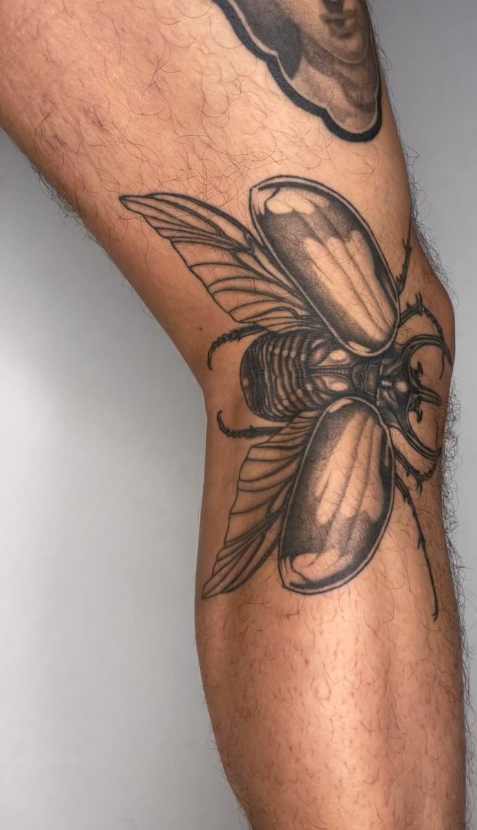 Photo of the tattoo titled Healed Folding Beetle Tattoo