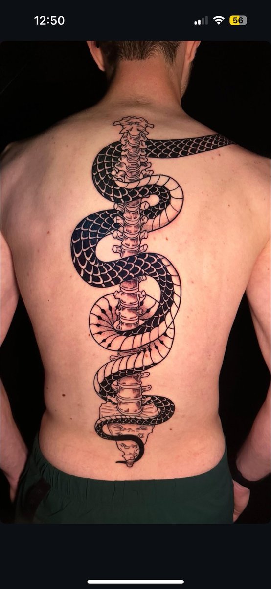 Photo of the tattoo titled Adding to my snake back piece