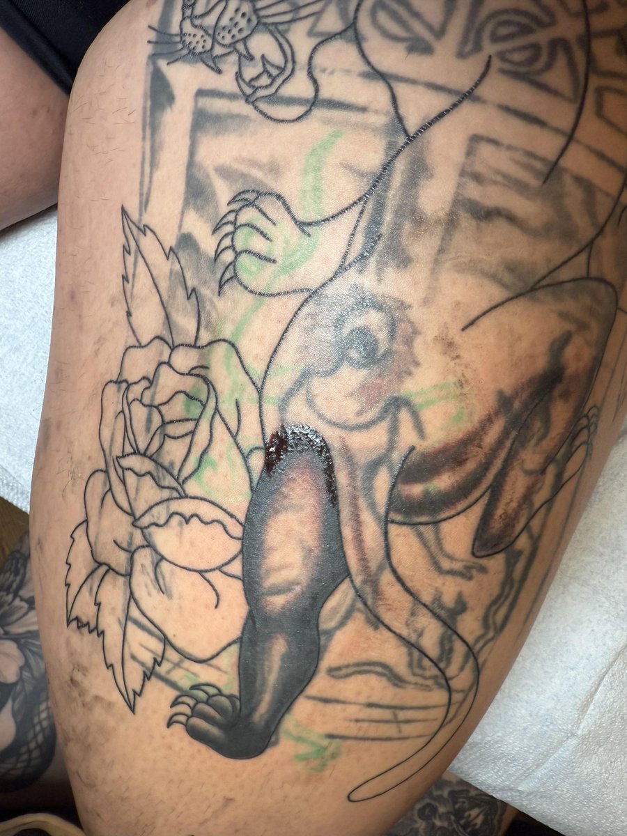 Photo of the tattoo titled Cover-up Trouble: Panther Hand