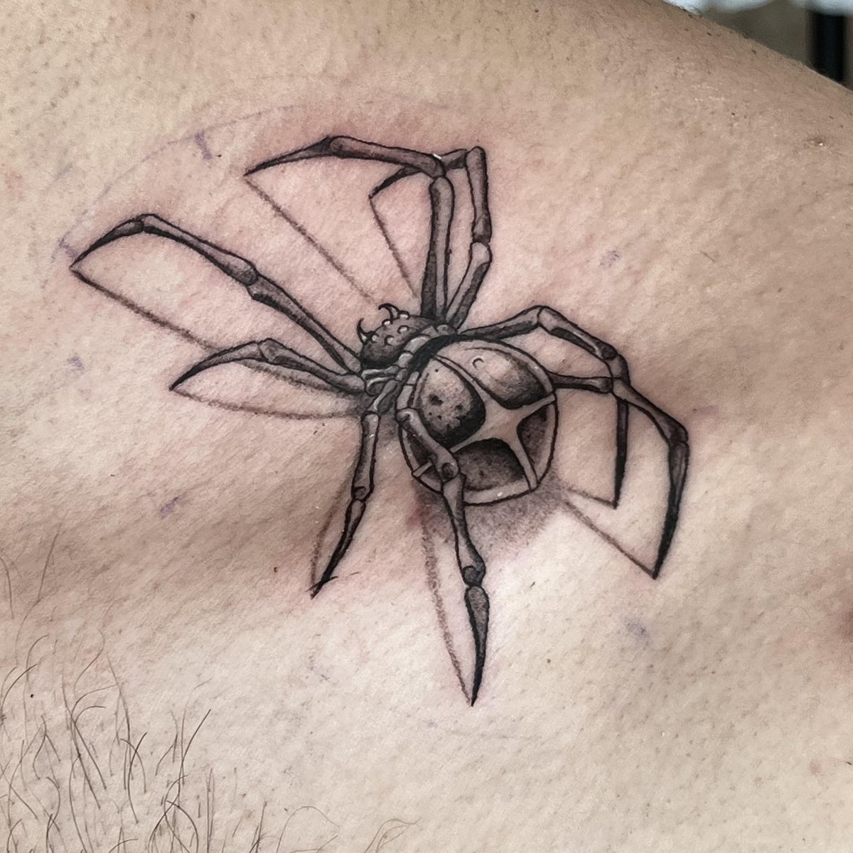 Photo of the tattoo titled My Spider Tattoo