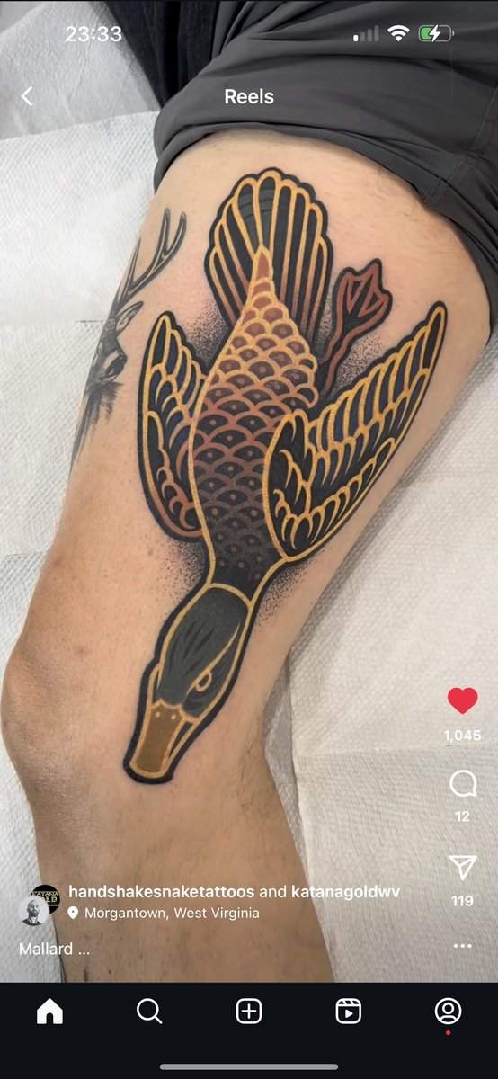 Photo of the tattoo titled Seeking UK/Europe Artist for Similar Style