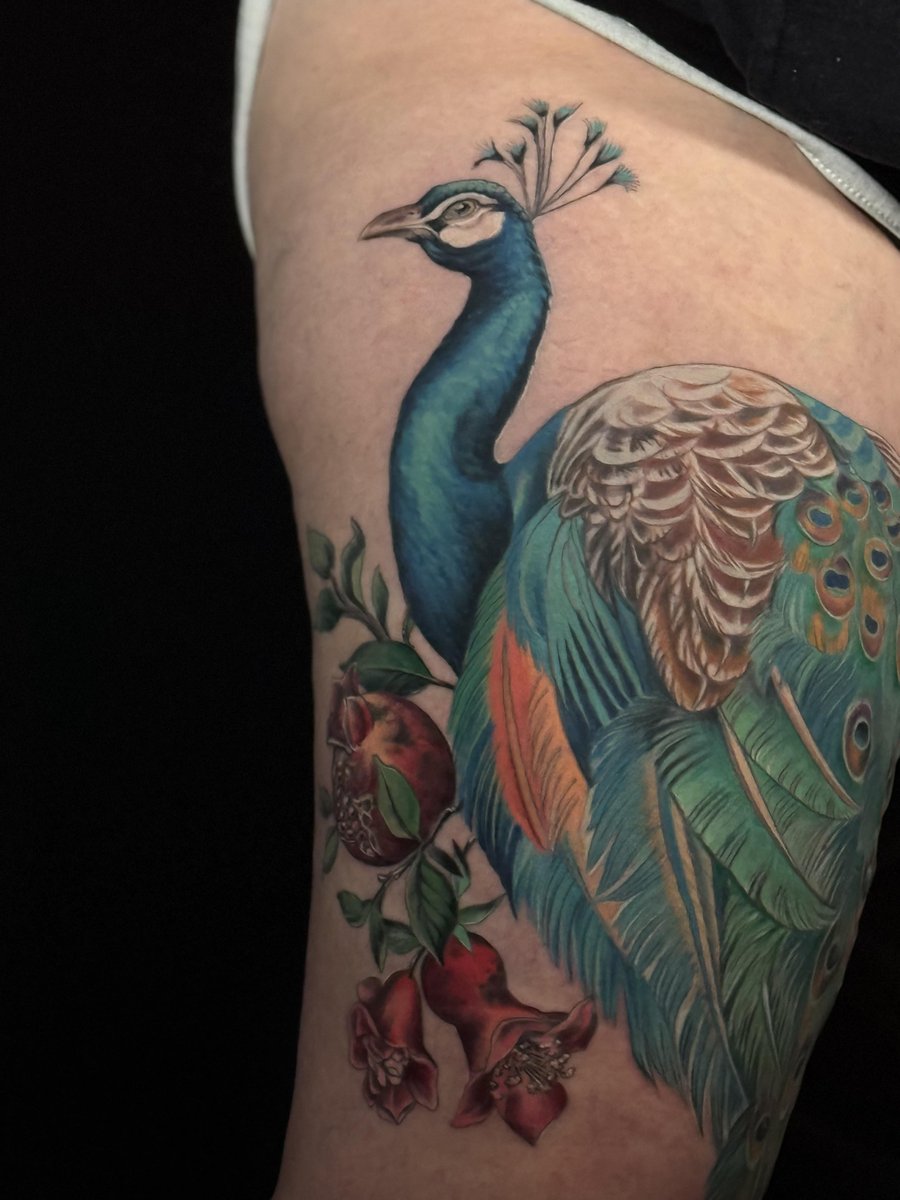 Photo of the tattoo titled Peacock and Pomegranate Thigh Piece