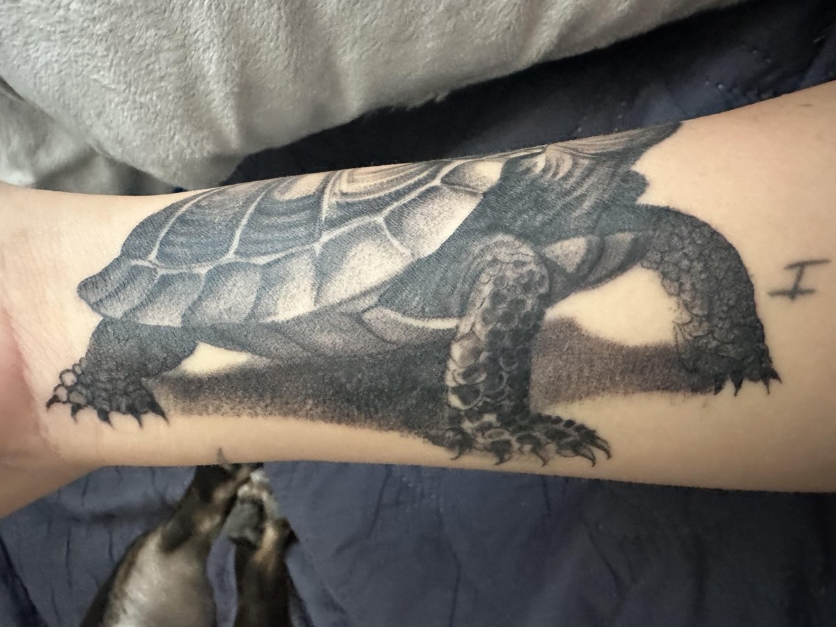 Photo of the tattoo titled Tortoise and Hare, A Shared Journey