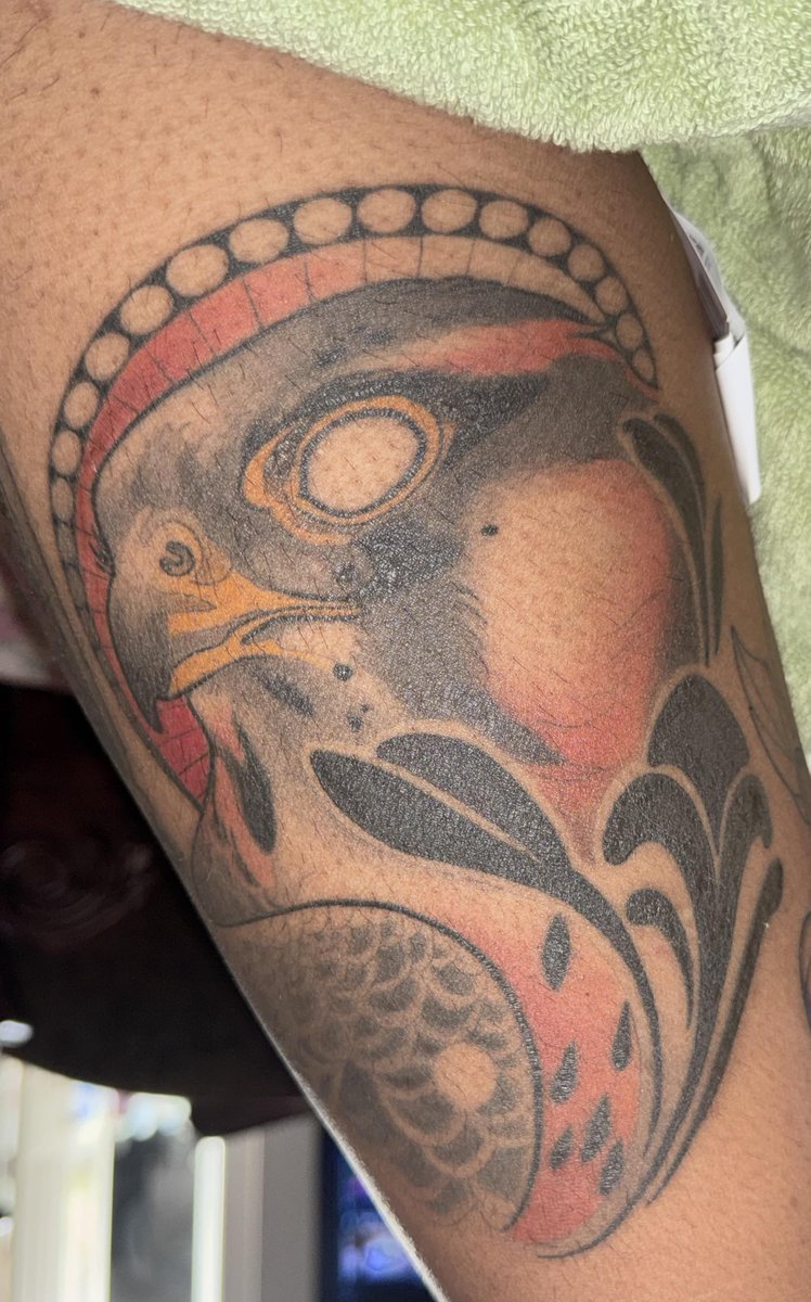Photo of the tattoo titled Peregrine Falcon's Freedom