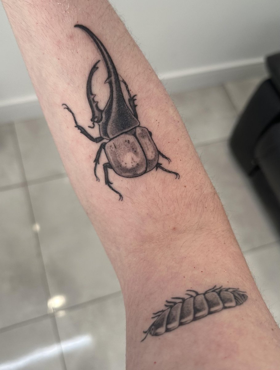 Photo of the tattoo titled Insect Collection: Isopod & Beetle