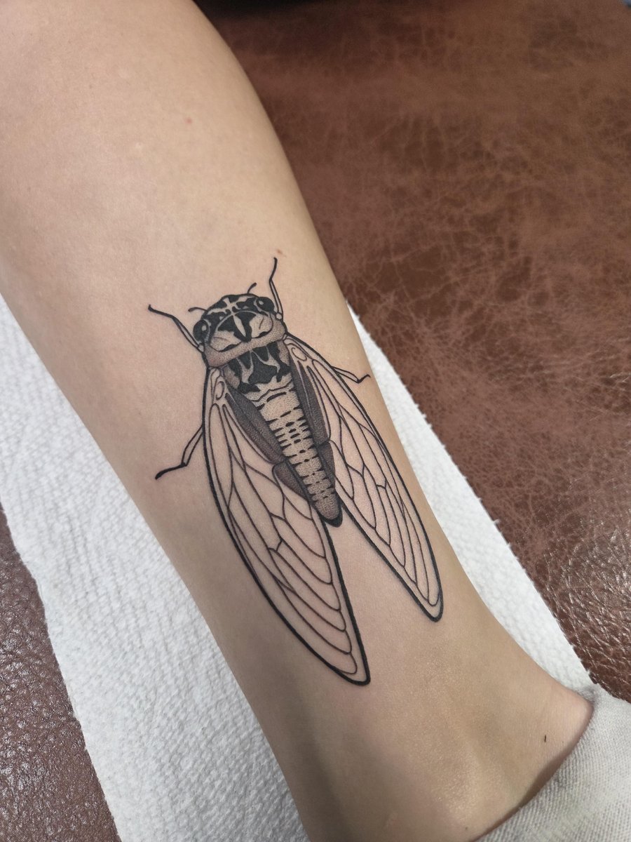 Photo of the tattoo titled Cicada's Transformation: Fresh to Healed