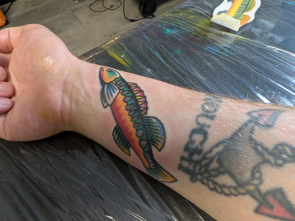 Photo of the tattoo titled Tangerine Darter Memorial